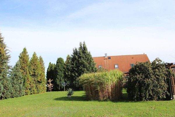 Parkanlage / Gartenanlage 