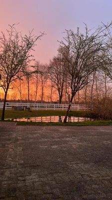 Teich und Pferdeauslauf