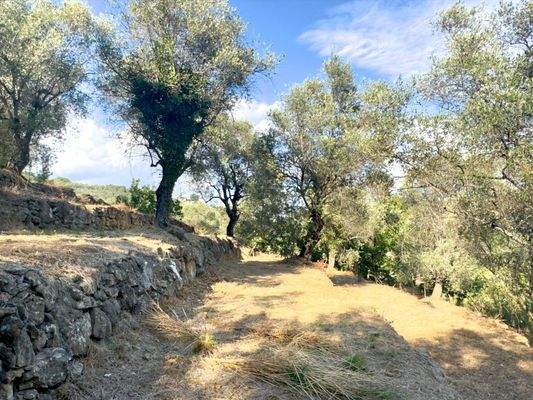 DA1046_12 TERRA ITALIA IMMOBILIEN_REAL ESTATE_FOR 