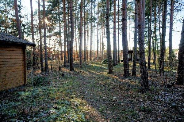 Grundstück vorne (1).JPG