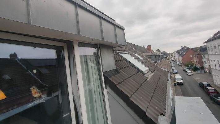 Fensteranlage / Dach