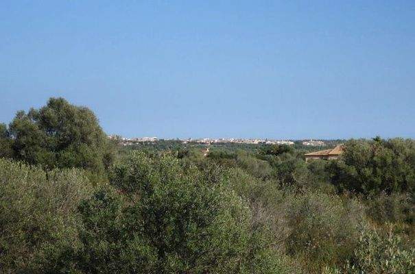 7178_04_Santanyi_Grundstueck