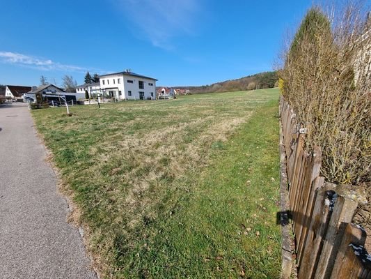Blick von der Straße nach Norden