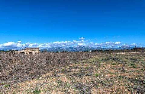 Costitx Grundstücke, Costitx Grundstück kaufen