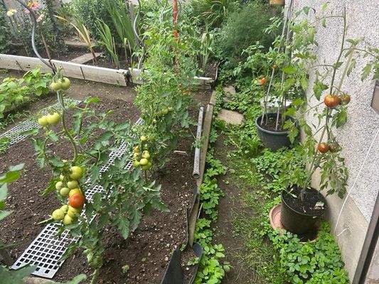 PHOTO-2023-11-02-17-12-42 13.jpg