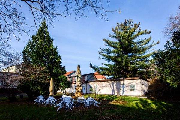 RI_nRicoKreimFotografie_10122_web