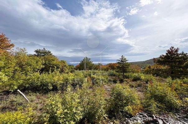 Viel Platz und viele Optionen