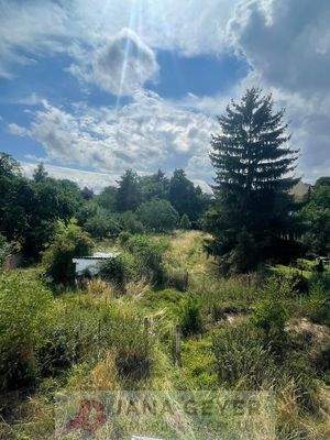 Blick aus Dachgeschoss übers Grundstück