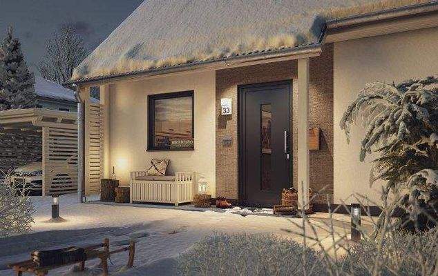 Eingangsueberdachung im Witer