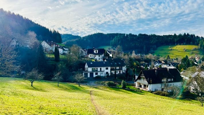 Hausansicht mit Umgebung