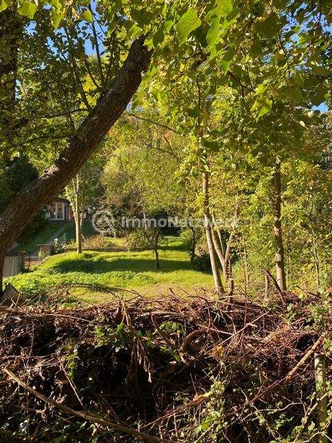 Sondershausen / Schersen Grundstücke, Sondershausen / Schersen Grundstück kaufen