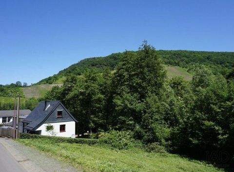 Traben Trarbach Grundstücke, Traben Trarbach Grundstück kaufen