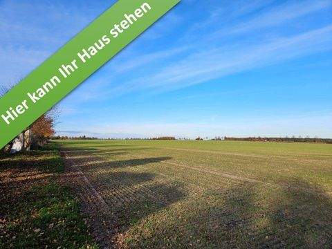 Peine Häuser, Peine Haus kaufen