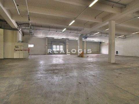 Eichenau Halle, Eichenau Hallenfläche