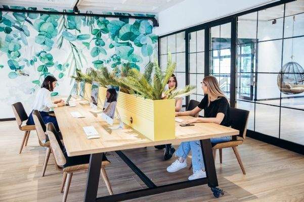 cam+ind+2+286+preview