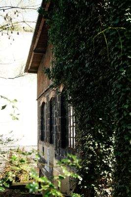 Außen Nordseite.jpg