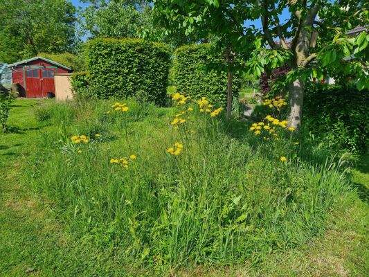 Teilansicht Garten / Gartenhaus
