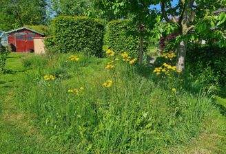 Teilansicht Garten / Gartenhaus