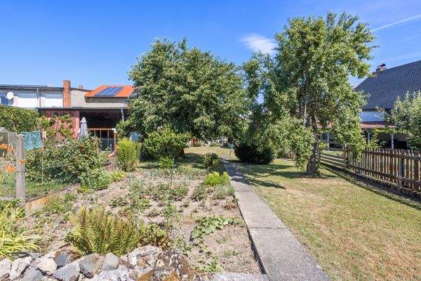 Blick vom Ende des Grundstückes