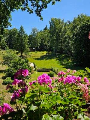 EG: Tolle Aussicht von hier hoch zum Stall