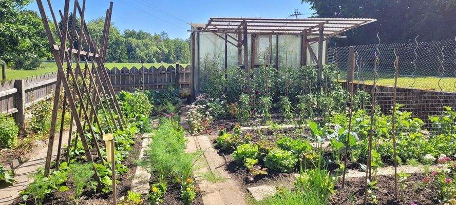 Gemüsegarten