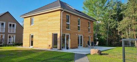 Borkwalde Häuser, Borkwalde Haus mieten 