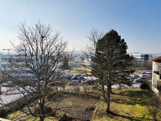 freier Ausblick vom Balkon ins Grüne