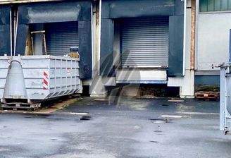 INFOS UNTER: 06171-586000