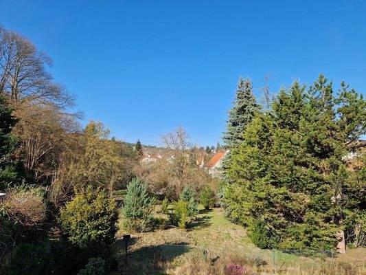 Blick aus dem WZ/Balko