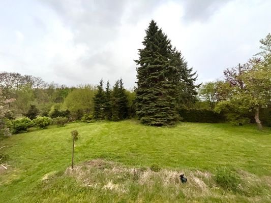 2025-3353-Garten mit viel Platz zum Entfalten