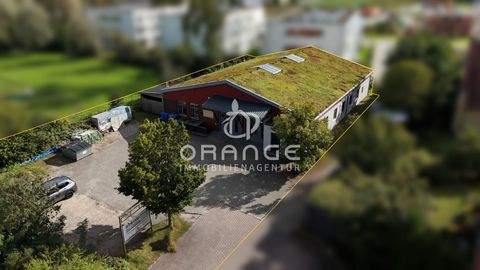 Abensberg / Gaden Halle, Abensberg / Gaden Hallenfläche