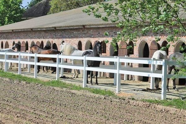 2323 Niederlande, Ven-Zelderheide - exkl Reitimmobilie zu verkaufen