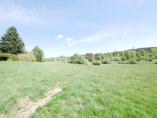 Direkt am Haus - Feldweg zum Naturschutzgebiet
