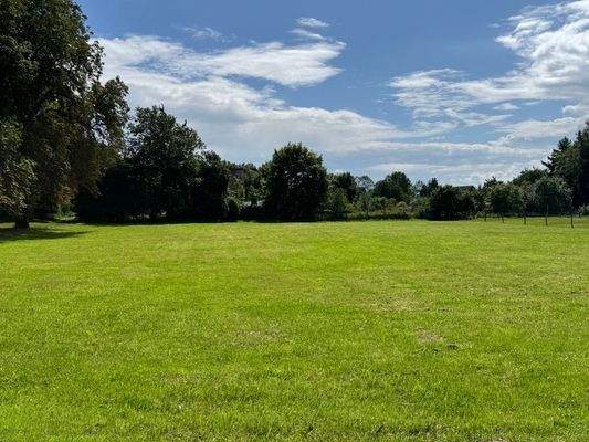 Wiese beide Grundstücke.jpeg