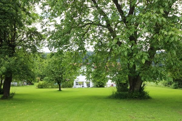 Obstgarten mit Blick auf den Anbau