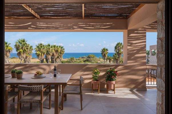 Olive Courtyard Collection