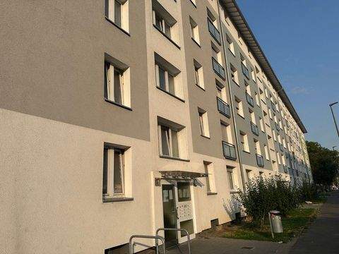 Ludwigshafen Wohnungen, Ludwigshafen Wohnung mieten