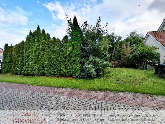 Straßenansicht Hecke