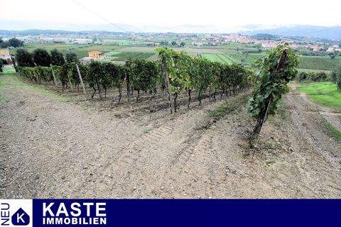 Cerreto Guidi Häuser, Cerreto Guidi Haus kaufen