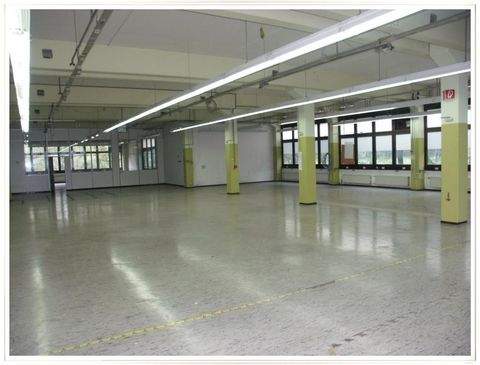 Schwabach Halle, Schwabach Hallenfläche