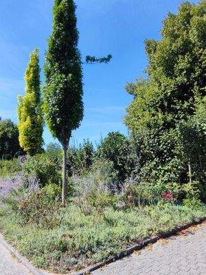 Grünanlagen in der Umgebung