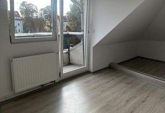 WhatsApp Image 2025-09-05 at 10.15.48.jpeg