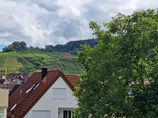 Blick auf Yburg