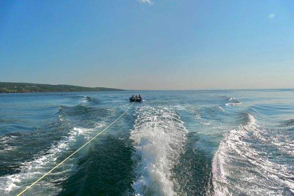 P1000846 action.jpeg