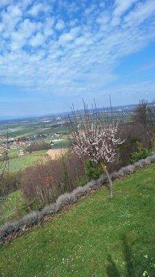 endlich Frühling...