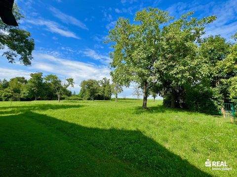 Buchkirchen Grundstücke, Buchkirchen Grundstück kaufen