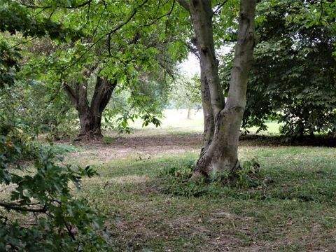 Neuss Häuser, Neuss Haus kaufen