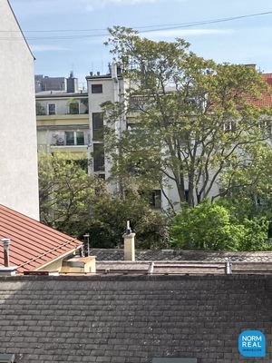 Grünblick von der Wohnung