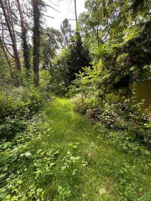 Weg zum Wochenendhaus