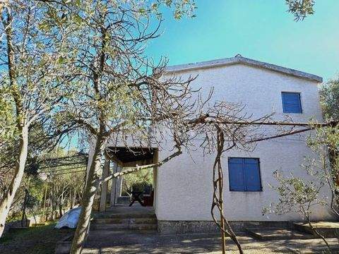 Marina Häuser, Marina Haus kaufen